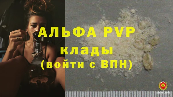 СК Бородино