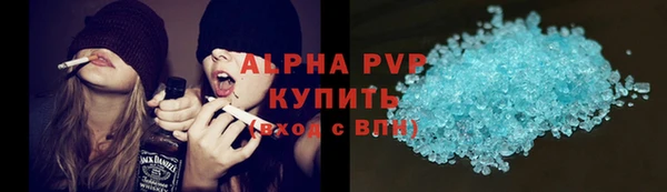 СК Бородино
