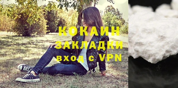 СК Бородино