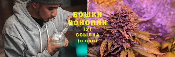 прущая мука Бронницы
