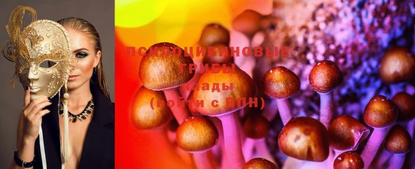 прущие крисы Бугульма