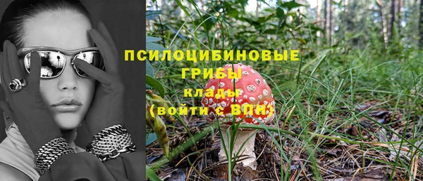 прущие крисы Бугульма
